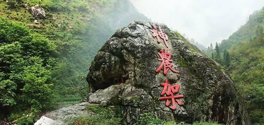 来多多自走棋2023什么阵容强,解答你的疑问